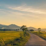 Bình Định trong ký ức tôi và những câu chuyện quê hương