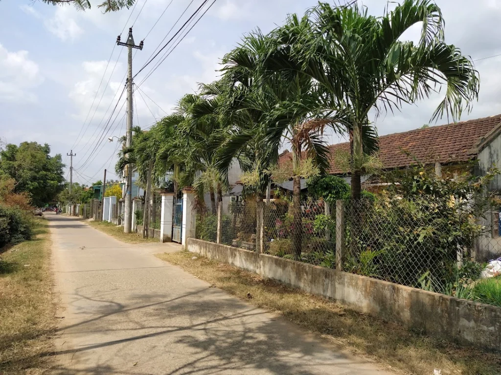 Con đường trước nhà khoảng năm 2020. Ngày tôi còn nhỏ, đây là con đường đất mà tôi đã đi qua không biết bao nhiêu lần