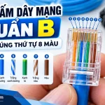 Cách bấm dây mạng chuẩn B T568B đúng thứ tự 8 màu bằng đầu RJ45.